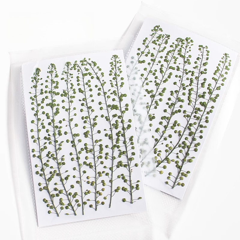 Natural Color Green Bell Grass - огляд і ціна Resin Art Baby