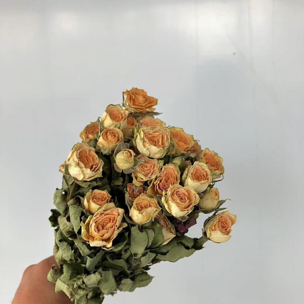 Real Preserved Roses Dried Flo - огляд і ціна Resin Art Rose