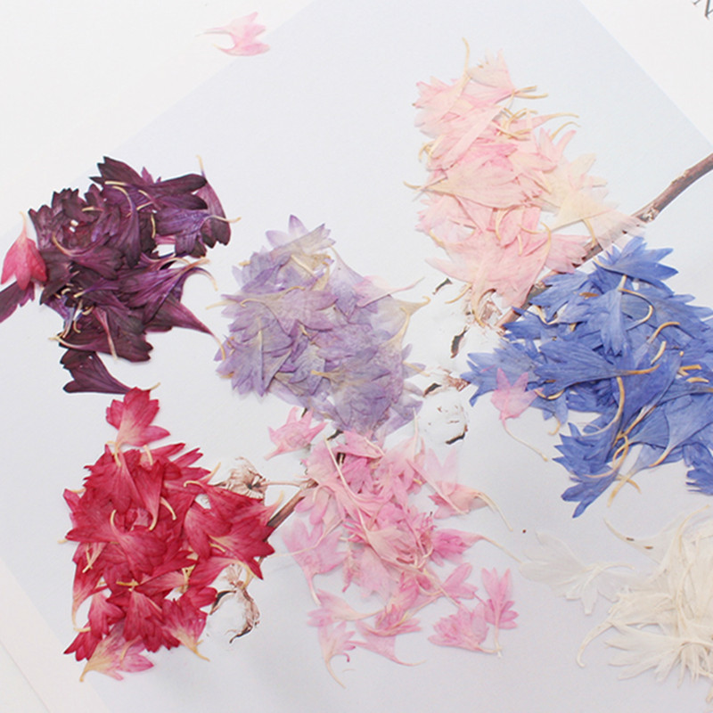 20 Plant Specimens of Cornflow - огляд і ціна Resin Art Baby