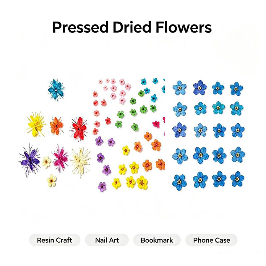 60pcs Mini Pressed Dried Flowe - огляд і ціна Resin Art Case