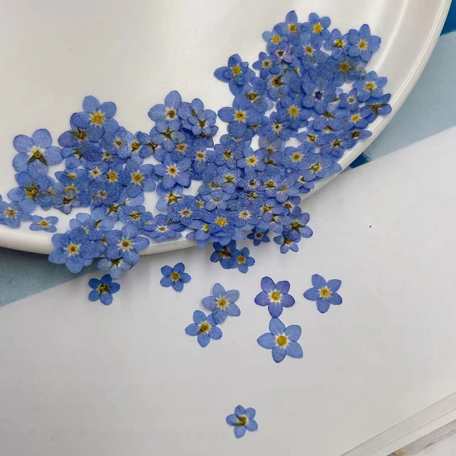 60pcs Mini Pressed Dried Flowe - огляд і ціна Resin Art Case
