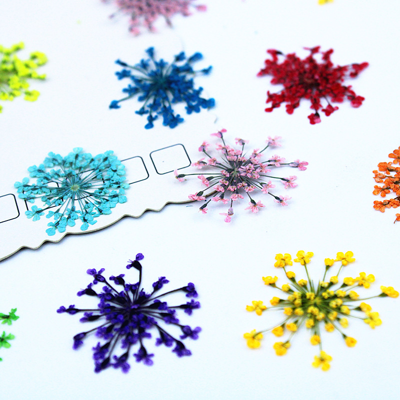 500pcs Lace Flowers Dried Flow - огляд і ціна Resin Art Baby