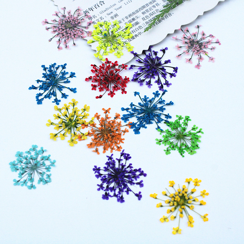 500pcs Lace Flowers Dried Flow - огляд і ціна Resin Art Baby